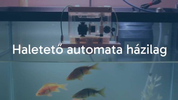 A homemade automatic fish feeder device above an aquarium, with fish swimming below, DIY setting, simple mechanical parts, clean and functional design, warm lighting.