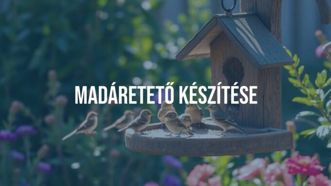 A handmade bird feeder in a garden, surrounded by small birds like sparrows and finches, warm and inviting atmosphere, natural sunlight, detailed and realistic.
