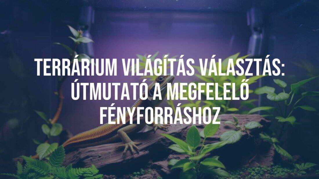 A terrarium with a reptile and plants under a UV light, natural setting, glowing ambiance, realistic.