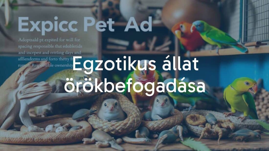 Exotic pet adoption, various animals like reptiles, birds, small mammals, and invertebrates, caring environment, responsible ownership, warm and inviting atmosphere, realistic.