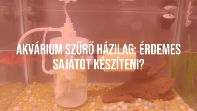 DIY aquarium filter setup, homemade materials, clear water, fish tank, creative solution, realistic