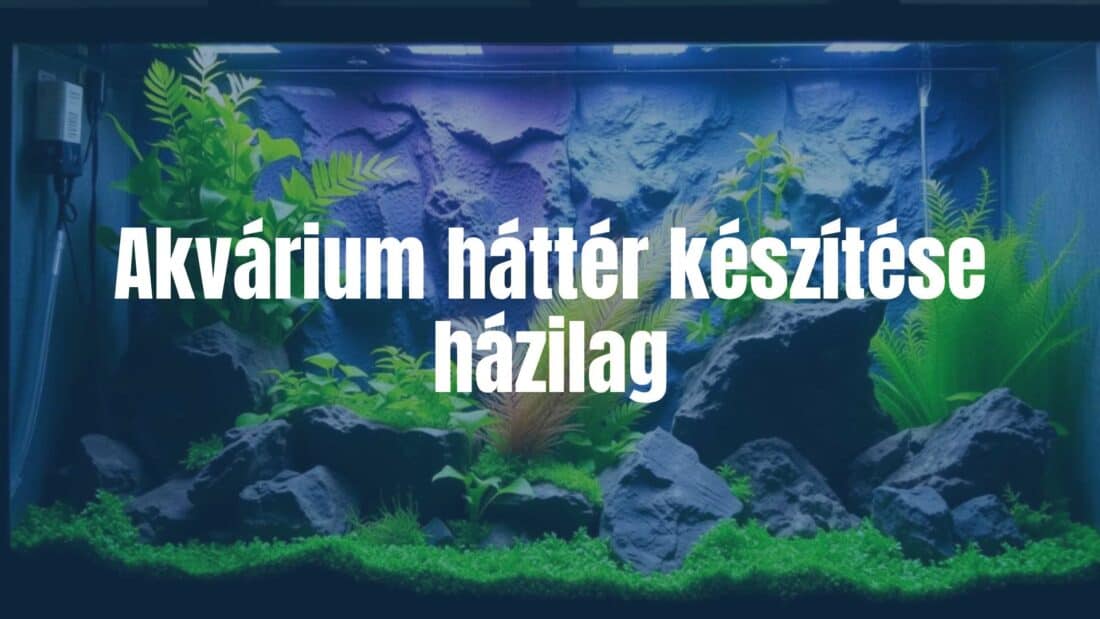 A DIY aquarium background being created, colorful and textured, with plants and rocks, realistic lighting, home hobby setting, cozy atmosphere.
