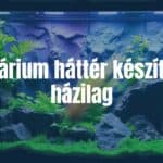 A DIY aquarium background being created, colorful and textured, with plants and rocks, realistic lighting, home hobby setting, cozy atmosphere.