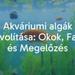 Aquarium with algae problem, green algae on glass and decorations, healthy fish swimming, natural lighting, realistic.