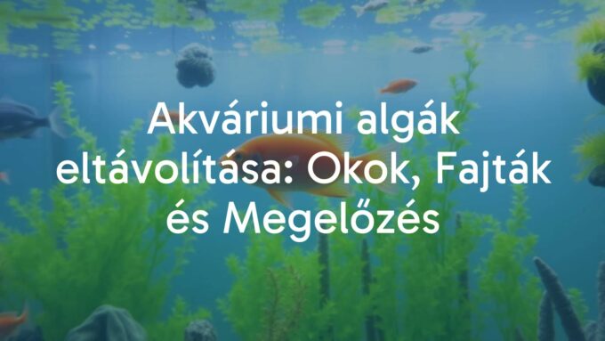 Aquarium with algae problem, green algae on glass and decorations, healthy fish swimming, natural lighting, realistic.