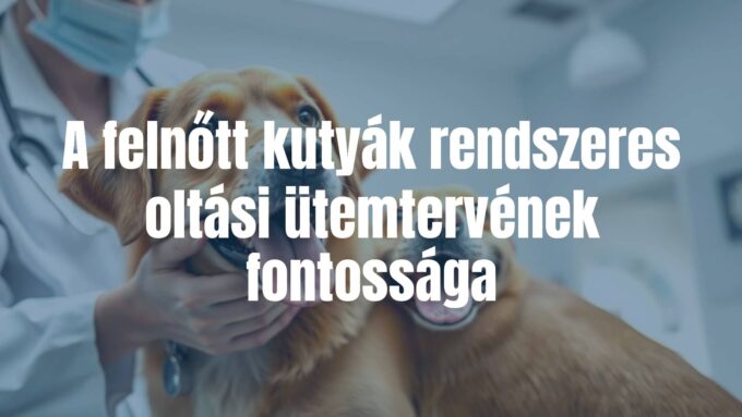 Adult dog receiving a vaccination at the vet, calm and professional setting, veterinarian in white coat, happy healthy dog, bright and clean clinic, realistic style.