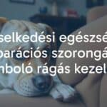 Anxious dog chewing furniture, separation anxiety, worried expression, cozy home setting, realistic.