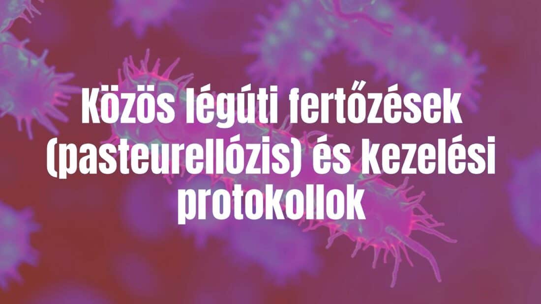 A Pasteurella bacteria under microscope, detailed view, scientific, blue and purple tones, realistic.