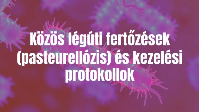 A Pasteurella bacteria under microscope, detailed view, scientific, blue and purple tones, realistic.