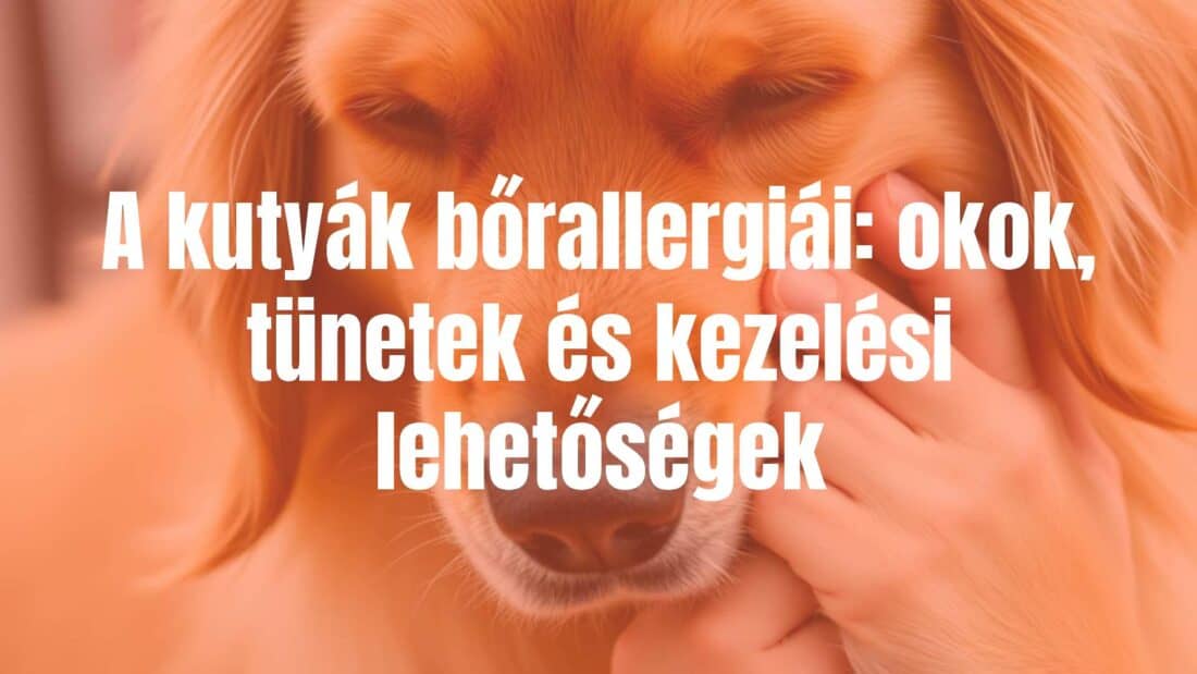 Golden retriever dog with irritated skin, scratching, allergy symptoms, realistic.