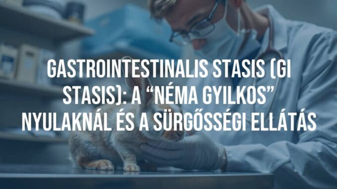 A sad rabbit sitting in a vet clinic, looking weak with a concerned veterinarian examining it, soft lighting, realistic.