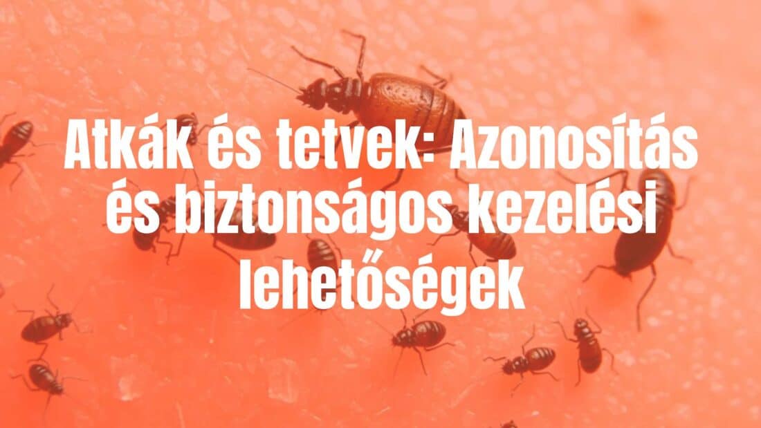 Microscopic view of mites and lice on skin, hygiene theme, detailed and realistic.