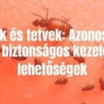 Microscopic view of mites and lice on skin, hygiene theme, detailed and realistic.