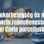 A guinea pig (Cavia porcellus) with a concerned expression, sitting near a stethoscope and blood glucose meter, clinical setting, soft lighting, realistic.