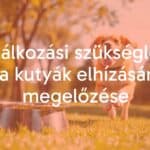 A happy, healthy dog running in a sunny park, with a balanced meal bowl nearby, vibrant and realistic.