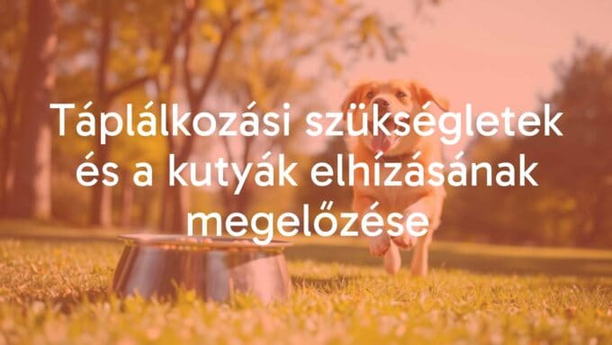 A happy, healthy dog running in a sunny park, with a balanced meal bowl nearby, vibrant and realistic.