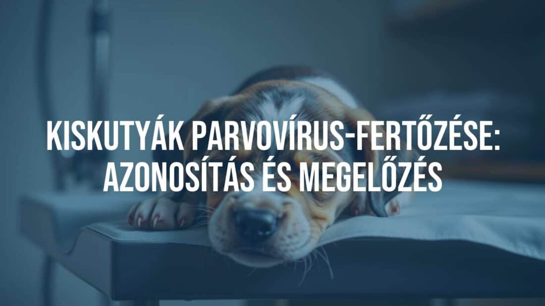 Sad little puppy with visible symptoms of parvo virus, such as vomiting or diarrhea, lying weakly on a veterinary examination table, soft lighting, realistic and emotional.