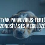 Sad little puppy with visible symptoms of parvo virus, such as vomiting or diarrhea, lying weakly on a veterinary examination table, soft lighting, realistic and emotional.