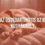 An elderly dog with osteoarthritis, showing joint stiffness, lying on a soft bed, warm lighting, realistic.