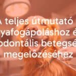 A happy golden retriever with clean white teeth, sitting in a bright vet clinic, veterinarian examining its mouth, dental tools nearby, warm and friendly atmosphere, realistic.