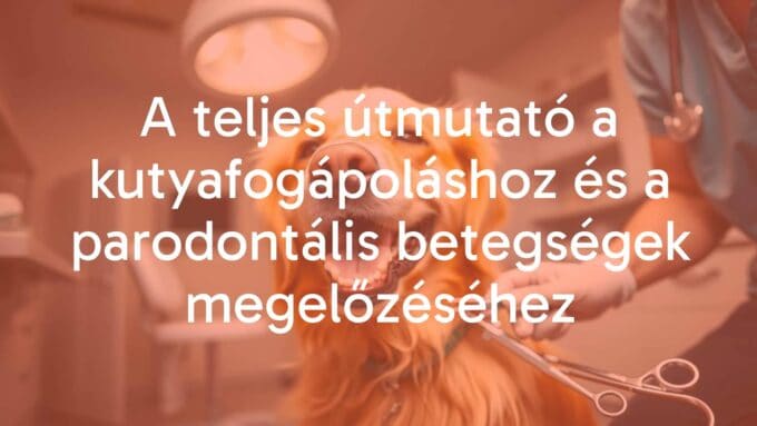 A happy golden retriever with clean white teeth, sitting in a bright vet clinic, veterinarian examining its mouth, dental tools nearby, warm and friendly atmosphere, realistic.