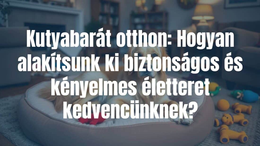 A cozy, dog-friendly home interior with a happy golden retriever on a soft bed, safe dog toys scattered around, pet-proof furniture, and warm lighting, inviting and comfortable.