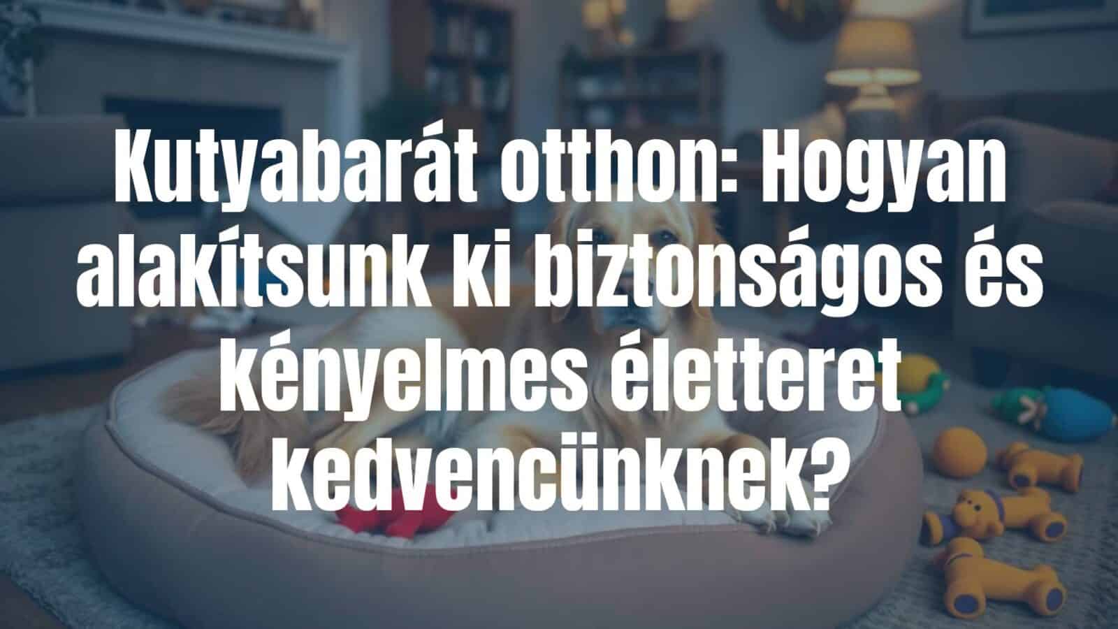 A cozy, dog-friendly home interior with a happy golden retriever on a soft bed, safe dog toys scattered around, pet-proof furniture, and warm lighting, inviting and comfortable.